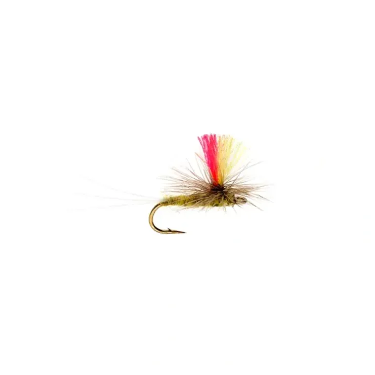 Indicator Para BWO - Your Premium Fishing Gear Store Rods Lines Baits Accessories^ Hot