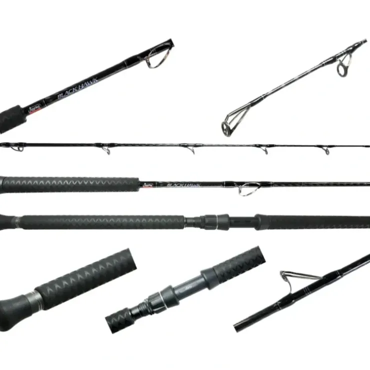 Jigging World JW-BH610C-MH Black Hawk Casting Rod 6'10" - Your Premium Fishing Gear Store Rods Lines Baits Accessories^ Flash Sale
