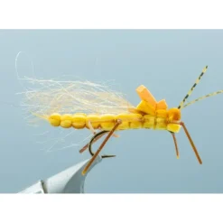 Juicy Stone Golden #8 - Your Premium Fishing Gear Store Rods Lines Baits Accessories^ Flash Sale