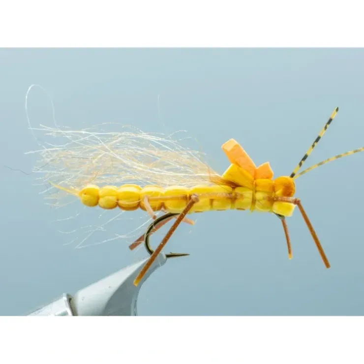 Juicy Stone Golden #8 - Your Premium Fishing Gear Store Rods Lines Baits Accessories^ Flash Sale