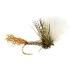 Keegan's Kripple - Your Premium Fishing Gear Store Rods Lines Baits Accessories^ Online