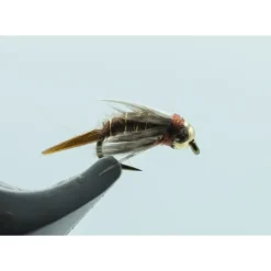 King Prince #16 - Your Premium Fishing Gear Store Rods Lines Baits Accessories^ Store