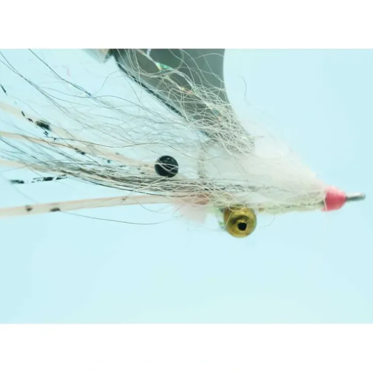Koga's Bonefish - Your Premium Fishing Gear Store Rods Lines Baits Accessories^ Clearance