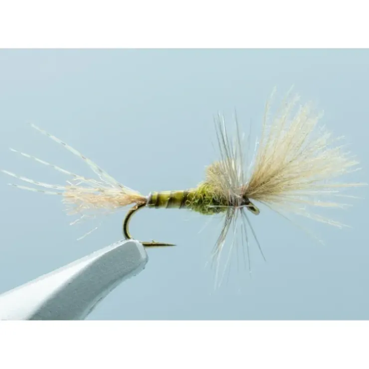 Last Chance Cripple Baetis #18 - Your Premium Fishing Gear Store Rods Lines Baits Accessories^ Outlet