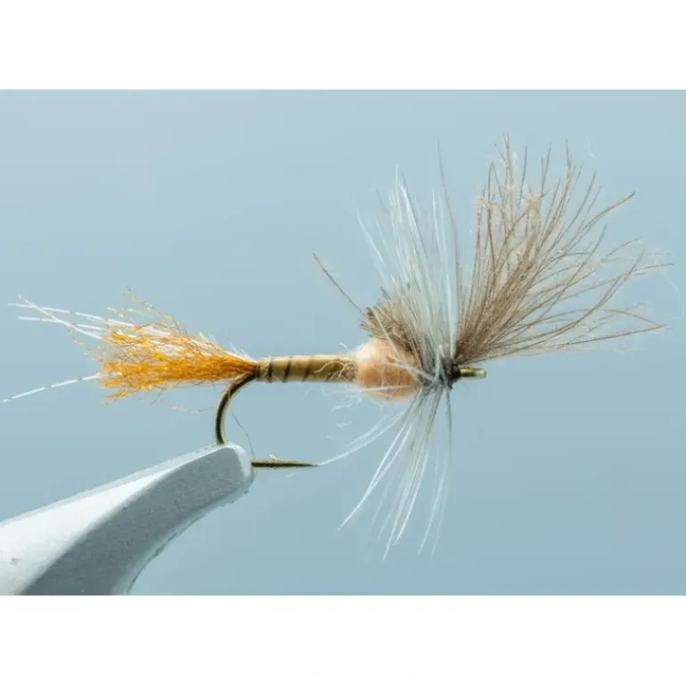 Last Chance Cripple Hendrickson #16 - Your Premium Fishing Gear Store Rods Lines Baits Accessories* Shop All