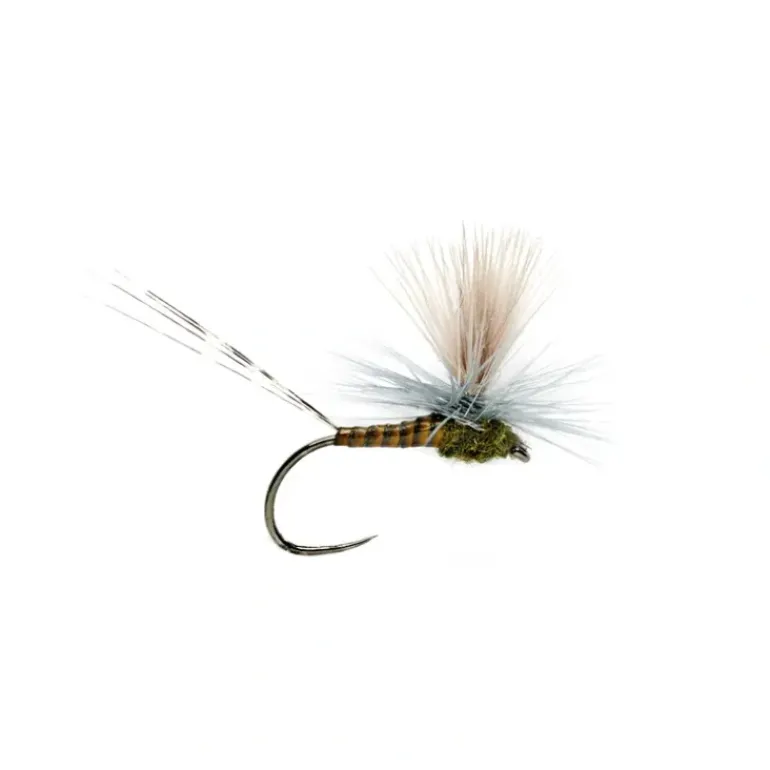 Lexi's Get 'er Dun May BWO Barbless - Your Premium Fishing Gear Store Rods Lines Baits Accessories* Fly Fishing