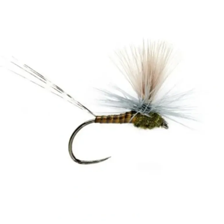 Lexi's Get 'er Dun May - Your Premium Fishing Gear Store Rods Lines Baits Accessories* Fly Fishing