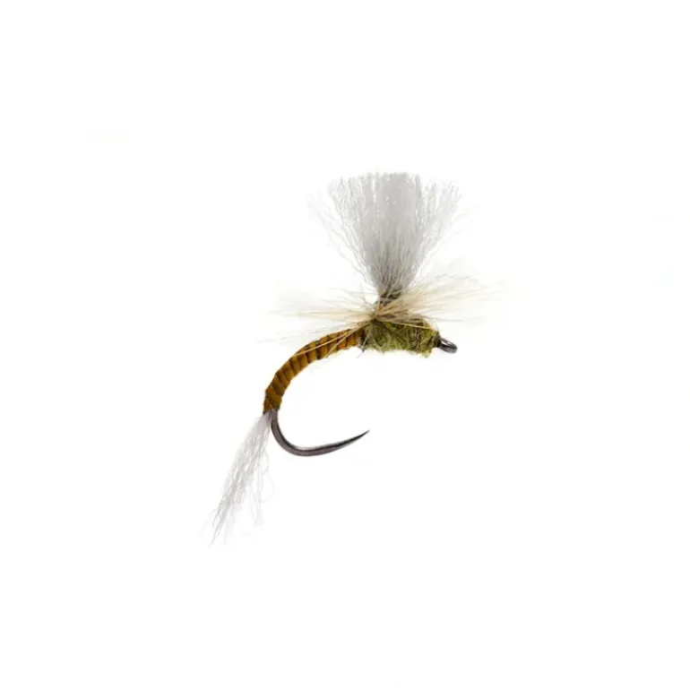 Lexi's Para Emerger Olive Barbless - Your Premium Fishing Gear Store Rods Lines Baits Accessories* Shop All
