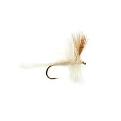 Light Cahill - Your Premium Fishing Gear Store Rods Lines Baits Accessories* Fly Fishing