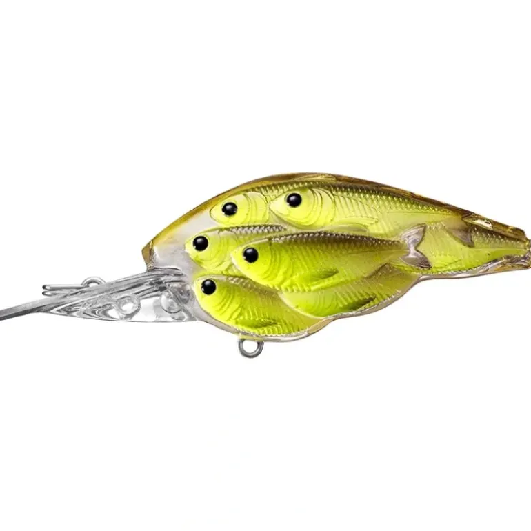 LiveTarget BaitBall Yearling Crankbait, 2 3/8" - Your Premium Fishing Gear Store Rods Lines Baits Accessories* Bait