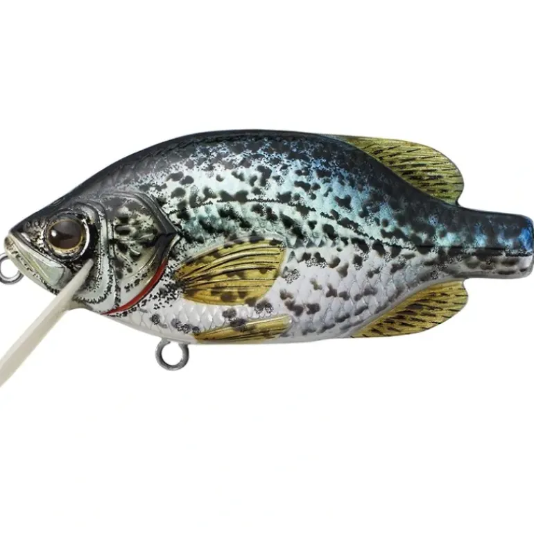 LiveTarget Crappie Flat-Side Shallow Dive Crankbait - Your Premium Fishing Gear Store Rods Lines Baits Accessories* Bait