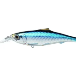 Live Target Spanish Sardine Jerkbait SPJ Saltwater Inshore Hard Plastic Baits - Your Premium Fishing Gear Store Rods Lines Baits Accessories^ New