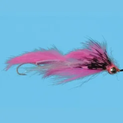 Loop Leech - Your Premium Fishing Gear Store Rods Lines Baits Accessories* Shop All