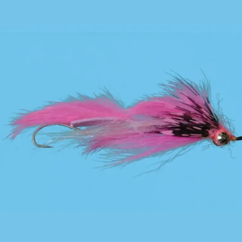 Loop Leech - Your Premium Fishing Gear Store Rods Lines Baits Accessories* Shop All