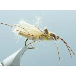 Lowrider Stone Tan #12 - Your Premium Fishing Gear Store Rods Lines Baits Accessories* Shop All