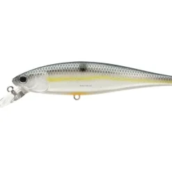 Lucky Craft Pointer Suspending Pointer - Your Premium Fishing Gear Store Rods Lines Baits Accessories* Shop All