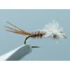 Macgruber Jackson Chocolate #18 - Your Premium Fishing Gear Store Rods Lines Baits Accessories* Shop All