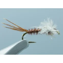Macgruber Jackson Chocolate #18 - Your Premium Fishing Gear Store Rods Lines Baits Accessories* Shop All