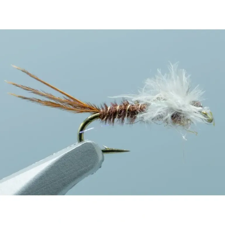 Macgruber Jackson Chocolate #18 - Your Premium Fishing Gear Store Rods Lines Baits Accessories* Shop All
