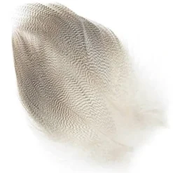 MALLARD BARRED FLANK - Your Premium Fishing Gear Store Rods Lines Baits Accessories* Fly Fishing