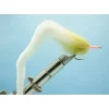 Mangum's Dragon Tail White #1/0 - Your Premium Fishing Gear Store Rods Lines Baits Accessories* Shop All
