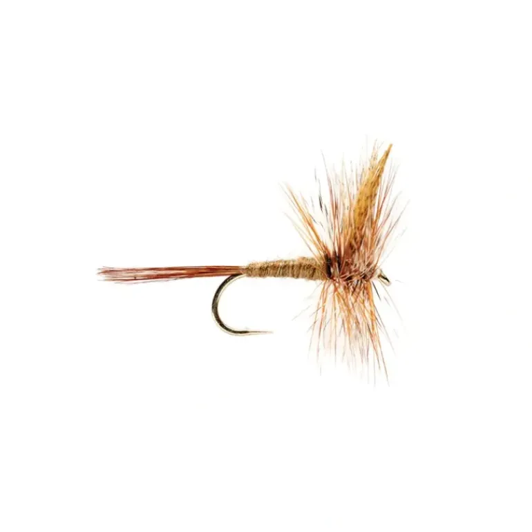 March Brown - Your Premium Fishing Gear Store Rods Lines Baits Accessories* Fly Fishing