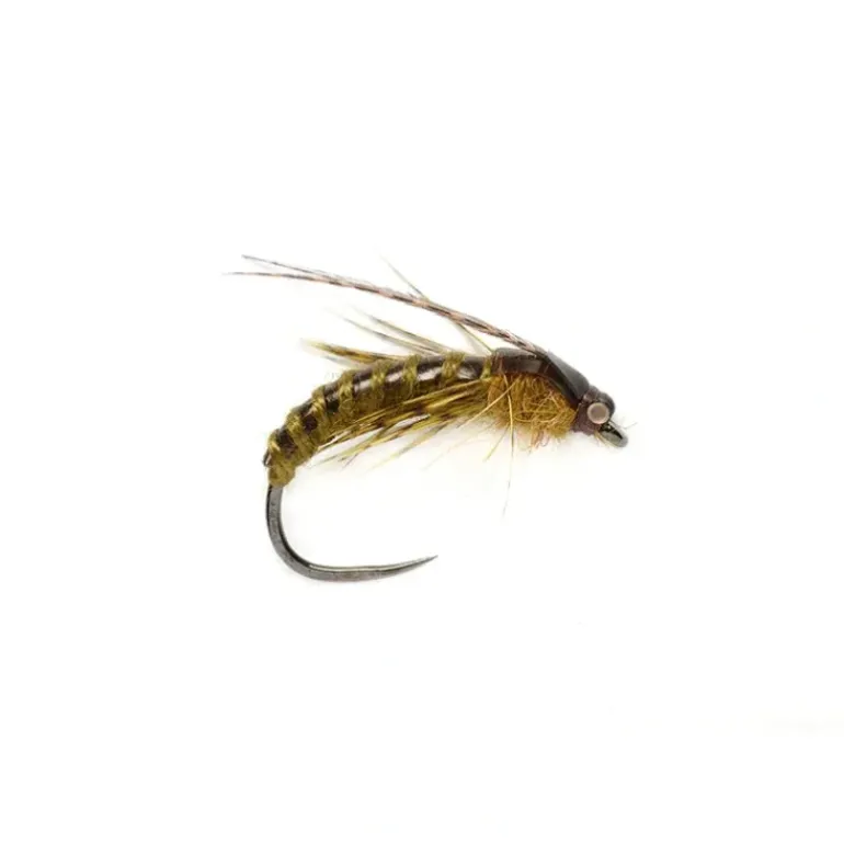 McPhail Caddis Pupa Olive Barbless - Your Premium Fishing Gear Store Rods Lines Baits Accessories* Shop All