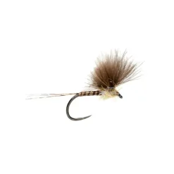 McPhail CdC Olive Quill Barbless - Your Premium Fishing Gear Store Rods Lines Baits Accessories* Shop All