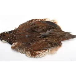 Mega Quail Skin - Your Premium Fishing Gear Store Rods Lines Baits Accessories* Shop All