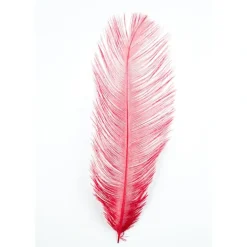 MFC Ostrich Plume - Your Premium Fishing Gear Store Rods Lines Baits Accessories* Shop All