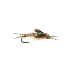 Mike Mercer's Epoxy Back Biot Golden Stone Nymph - Your Premium Fishing Gear Store Rods Lines Baits Accessories* Fly Fishing