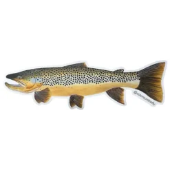 Mike Pepper "Colors on the Fly" 20" Brown Trout Sticker - Your Premium Fishing Gear Store Rods Lines Baits Accessories* Fly Fishing