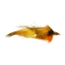 Mini Drunk & Disorderly Firetiger - Your Premium Fishing Gear Store Rods Lines Baits Accessories* Shop All