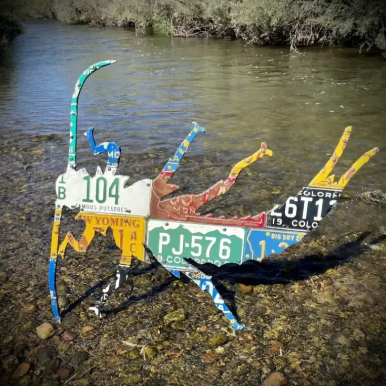 Mixed Western Stonefly License Plate Art - Your Premium Fishing Gear Store Rods Lines Baits Accessories* Fly Fishing