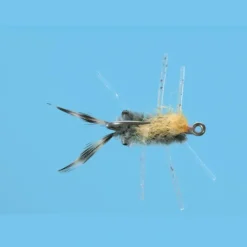 Moe Crab - Your Premium Fishing Gear Store Rods Lines Baits Accessories* Shop All