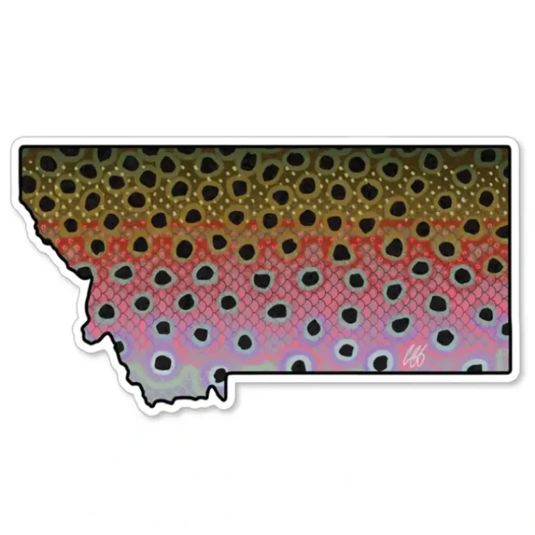 Montana Rainbow Sticker - Your Premium Fishing Gear Store Rods Lines Baits Accessories* Shop All