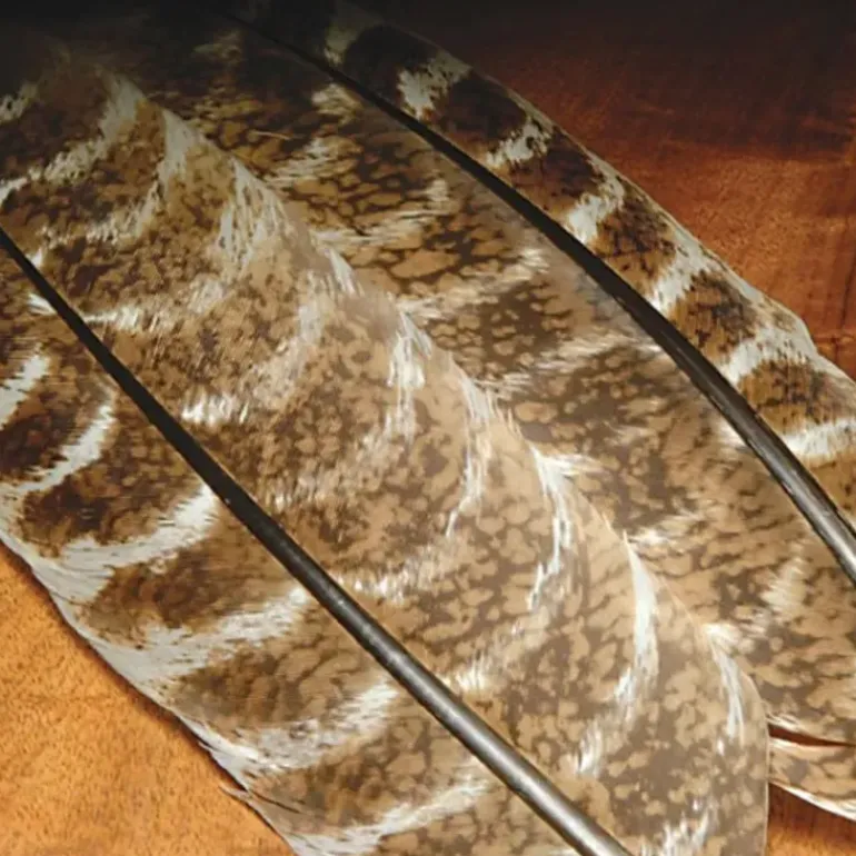 Mottled Turkey Quills - Your Premium Fishing Gear Store Rods Lines Baits Accessories* Shop All