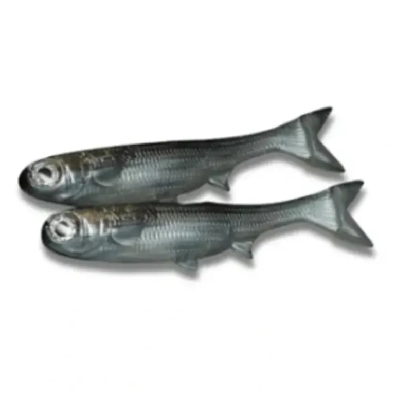 No Live Bait Needed K-Tails - Your Premium Fishing Gear Store Rods Lines Baits Accessories* Bait
