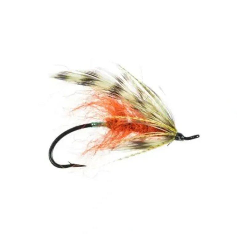 October Hilton - Your Premium Fishing Gear Store Rods Lines Baits Accessories* Shop All