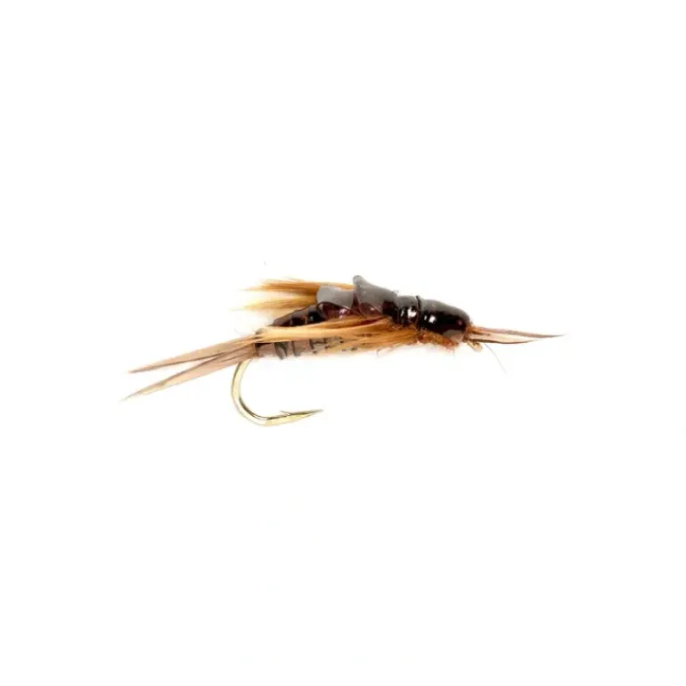 OE Stonefly Nymph Black - Your Premium Fishing Gear Store Rods Lines Baits Accessories* Fly Fishing