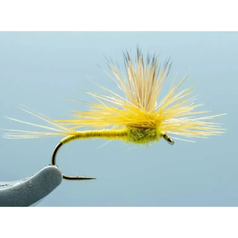 Parachute Daze PMD #14 - Your Premium Fishing Gear Store Rods Lines Baits Accessories* Shop All