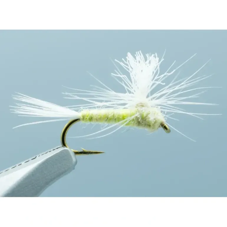 Parachute PMD - 1 Doz. - Your Premium Fishing Gear Store Rods Lines Baits Accessories* Shop All