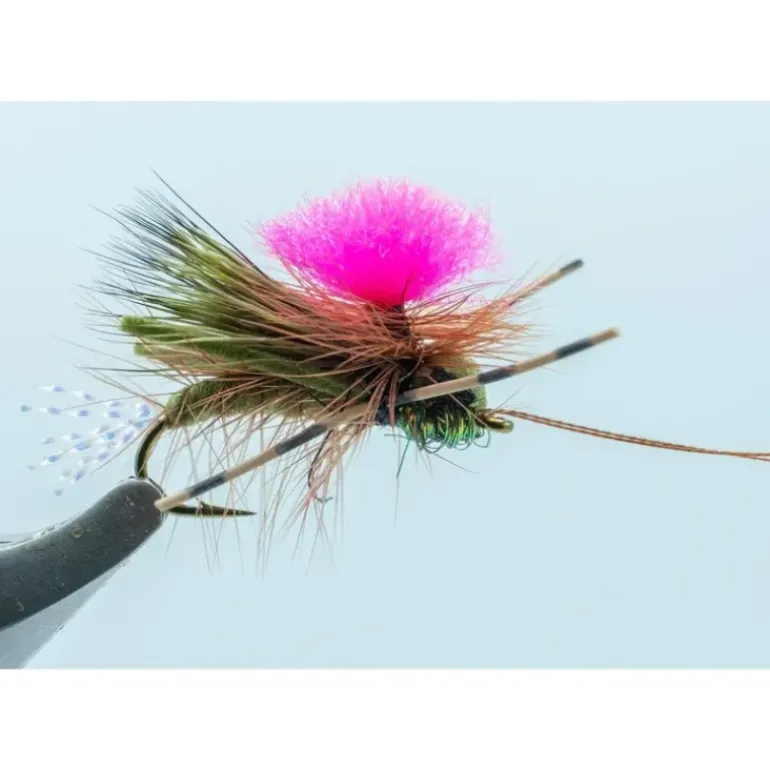 Party Animal Grillos Olive #14 - Your Premium Fishing Gear Store Rods Lines Baits Accessories* Shop All