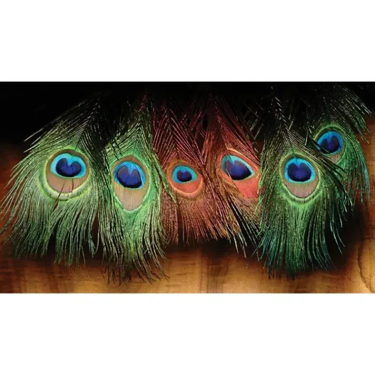 Peacock Eyed Sticks - Your Premium Fishing Gear Store Rods Lines Baits Accessories* Shop All