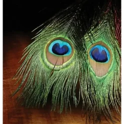 Peacock-Eye Sticks - Your Premium Fishing Gear Store Rods Lines Baits Accessories* Shop All
