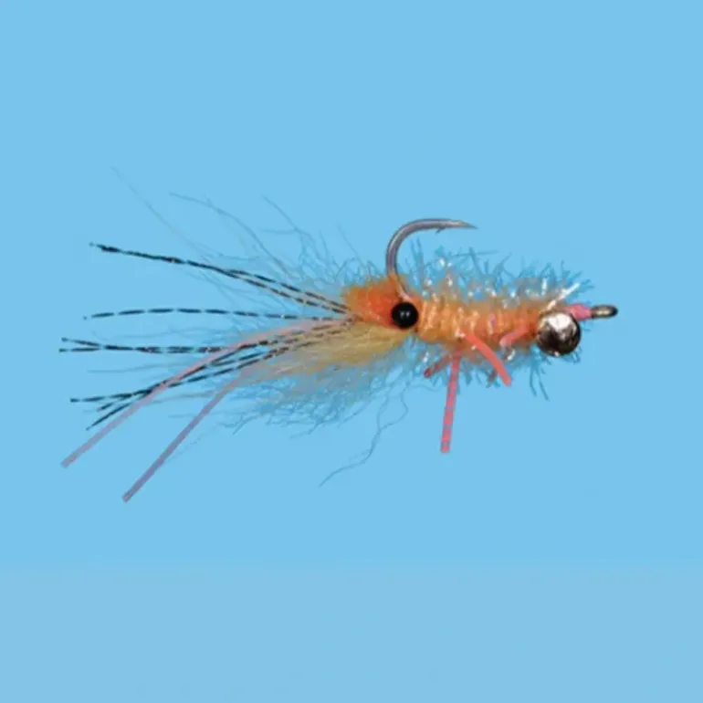 Pimp Shrimp - Your Premium Fishing Gear Store Rods Lines Baits Accessories* Shop All
