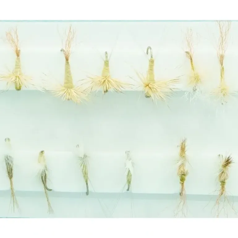 PMD Dry Assortment - Your Premium Fishing Gear Store Rods Lines Baits Accessories* Shop All