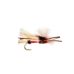 PMX Royal - Your Premium Fishing Gear Store Rods Lines Baits Accessories* Fly Fishing
