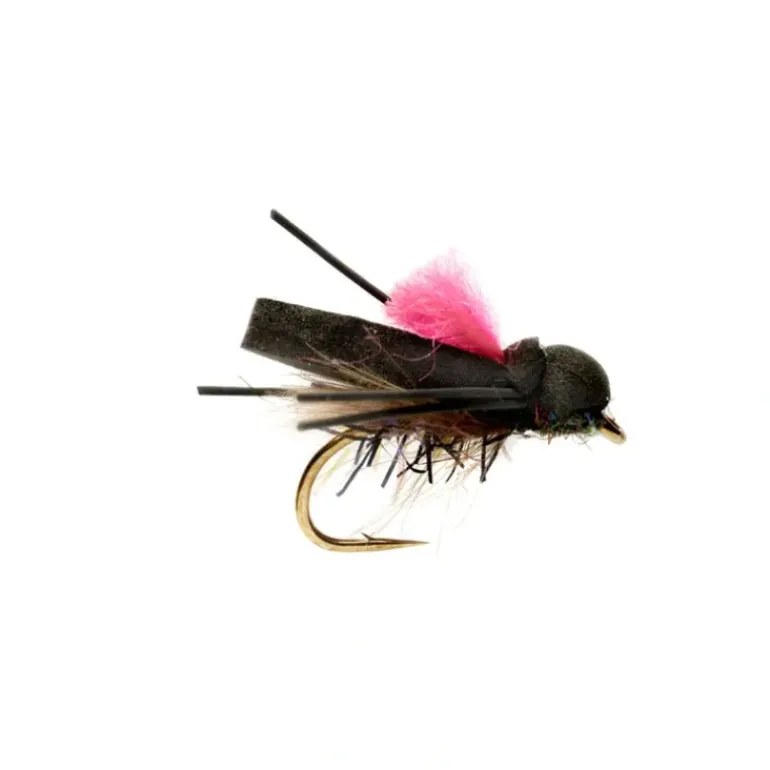 Procter Flip Flop Pink - Your Premium Fishing Gear Store Rods Lines Baits Accessories* Shop All