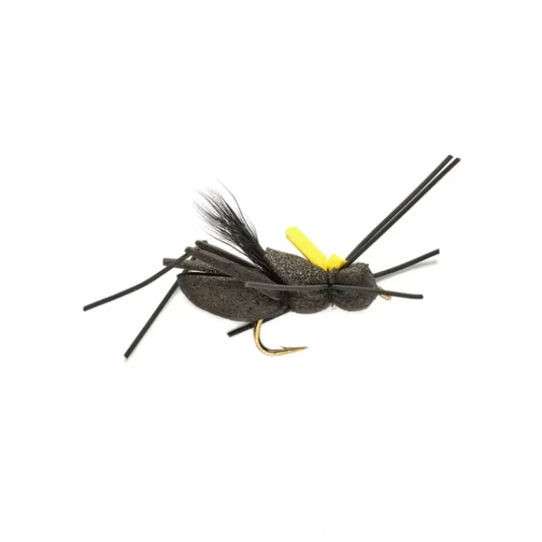 Project Cricket - Your Premium Fishing Gear Store Rods Lines Baits Accessories* Shop All